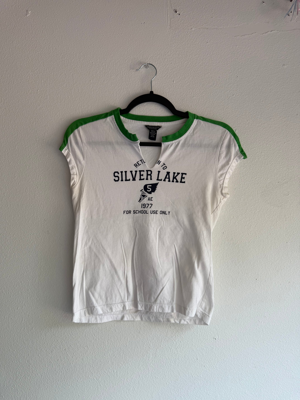 2000s american eagle Silver lake v neck top - M